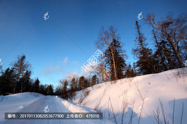 林海雪原,雪鄉(xiāng),樹木