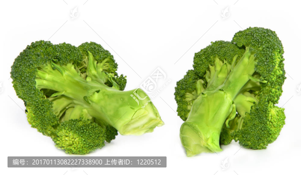 西蘭花-匯圖網(wǎng) www.fosd68.com 西蘭花