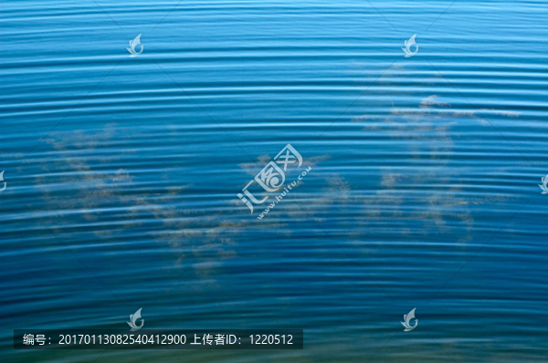 地表水
