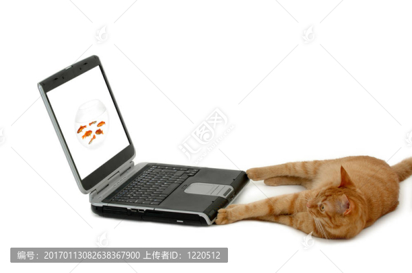 貓和筆記本