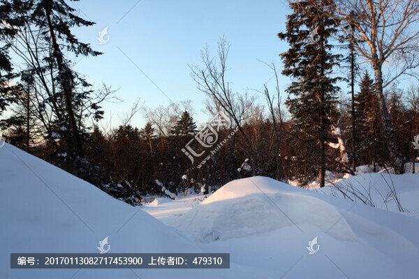 林海雪原