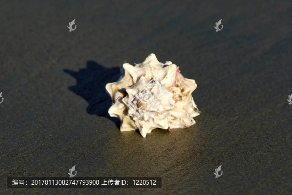 螺旋上升到海灘