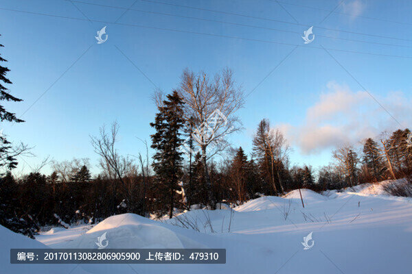 林海雪原,雪鄉(xiāng),樹木,白雪,冬