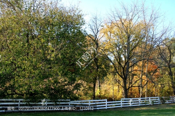 破碎的Pickett,Fence