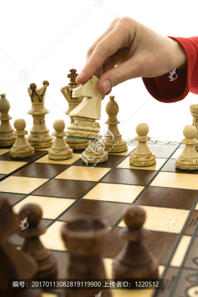 國際象棋的組成