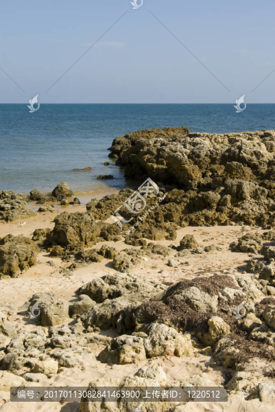 我們的海灘