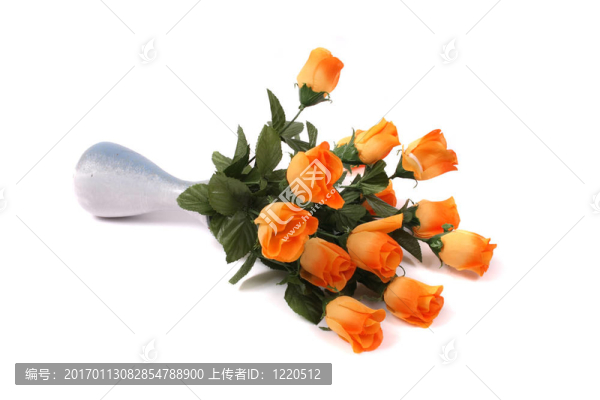 玫瑰