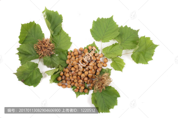 堅(jiān)果