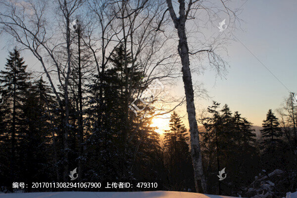林海雪原,雪鄉(xiāng),日出,白雪,冬
