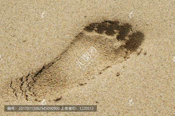 足跡