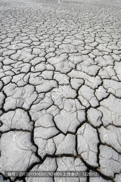 燒焦的土地的廣角鏡頭