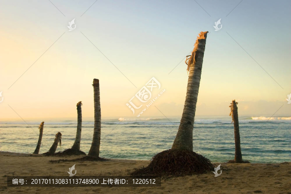 海嘯