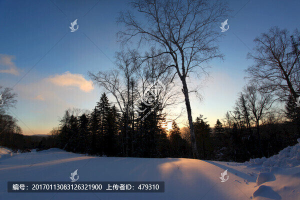 林海雪原,雪鄉(xiāng),樹(shù)木,白雪,冬