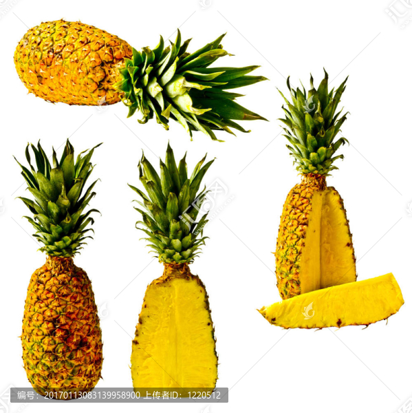 孤立的菠蘿系列