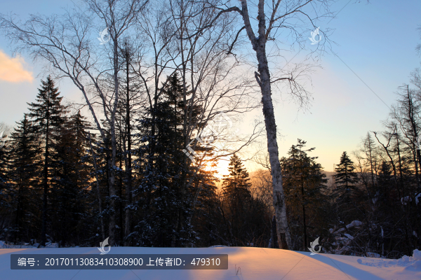 日出,白雪,冬