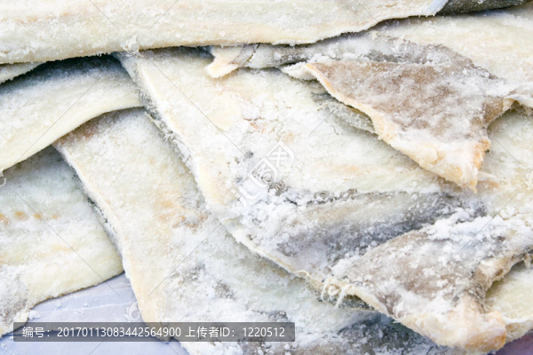 鱈魚(yú)