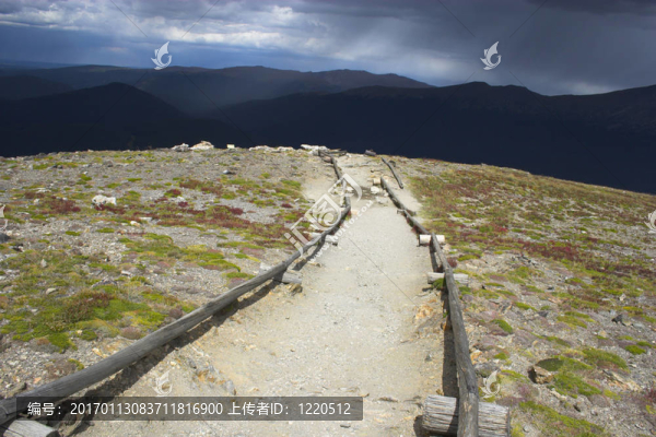 山區(qū)道路