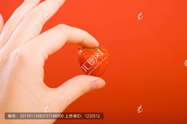 手上的草莓