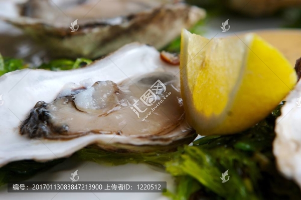 牡蠣