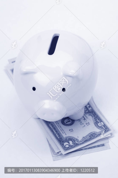 小豬銀行和美元