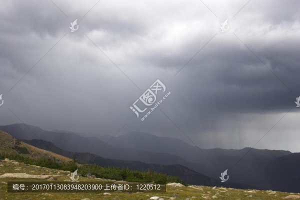 山地雨林