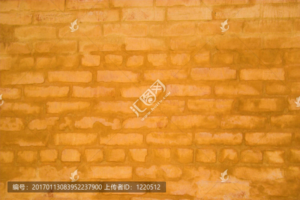 紋理和圖案