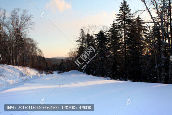 林海雪原,雪鄉(xiāng),樹木,白雪,冬