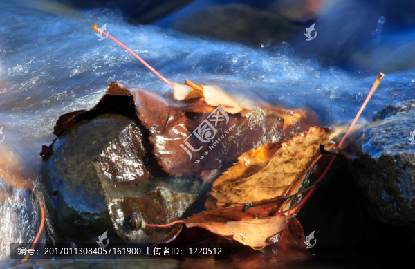 在小河的水特寫
