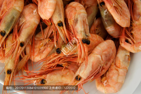 鮮蝦