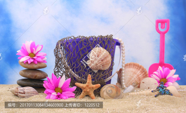 仍然生活在海灘上