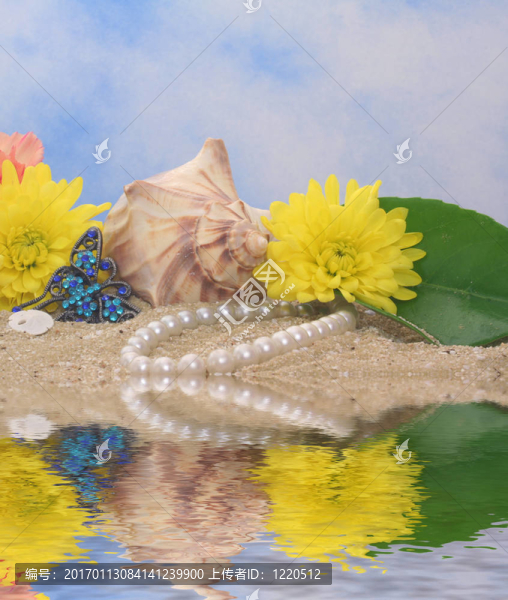 Beach的花和貝殼