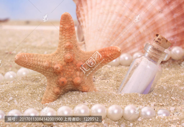 瓶子里有信息的海星