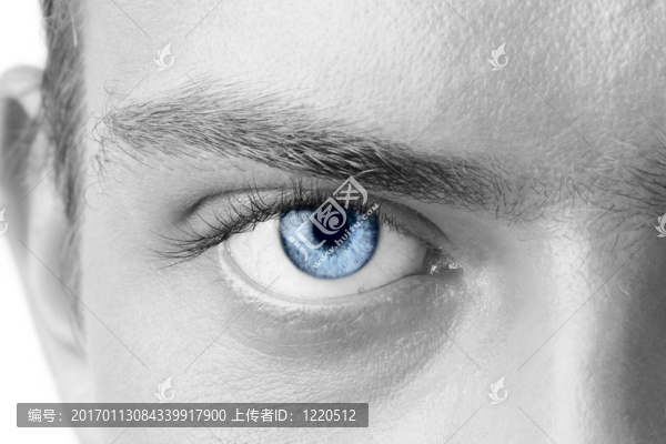 人的眼睛