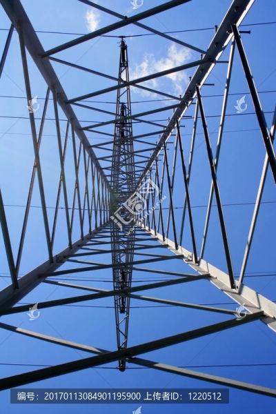 在電線桿