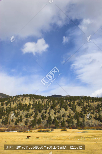 山地景觀