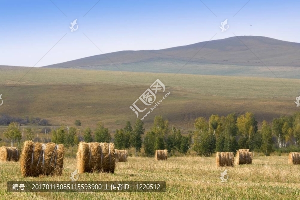 乾草堆