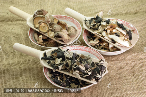 中國蘑菇