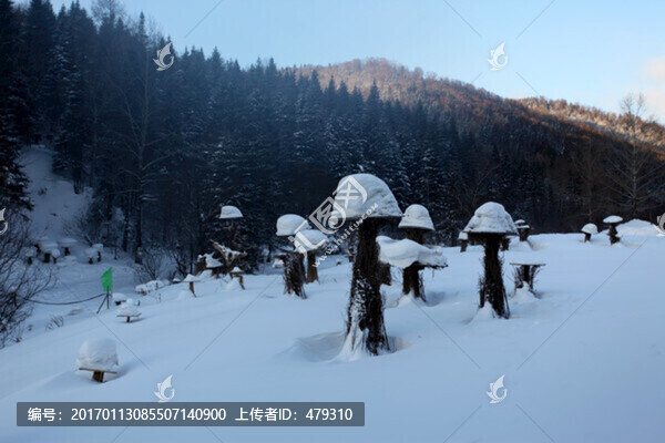 林海雪原,雪鄉(xiāng),樹木