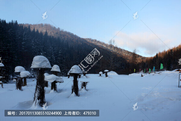 林海雪原