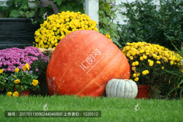 南瓜和媽媽