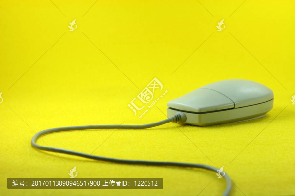 老鼠跑