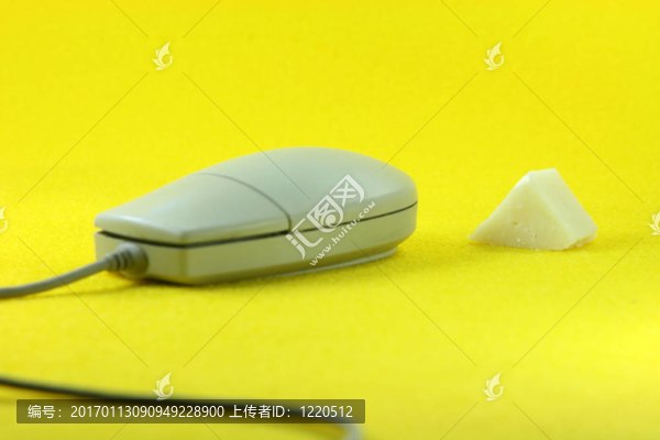 饑餓的老鼠
