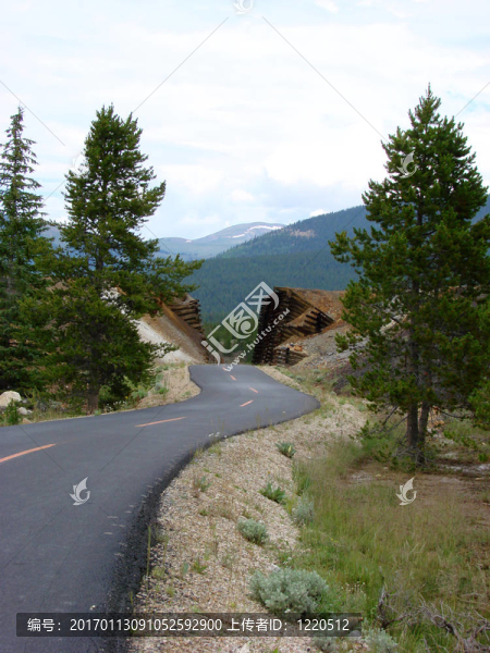 在Mountains的公路