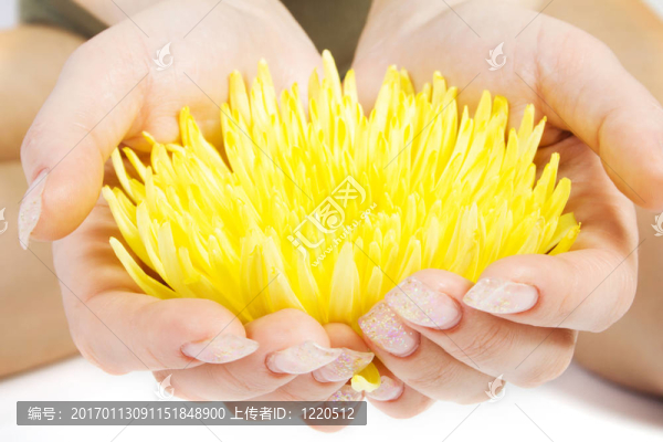 在女人的手上黃色的花