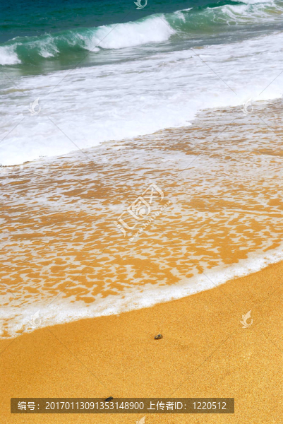 海洋沙灘桑迪