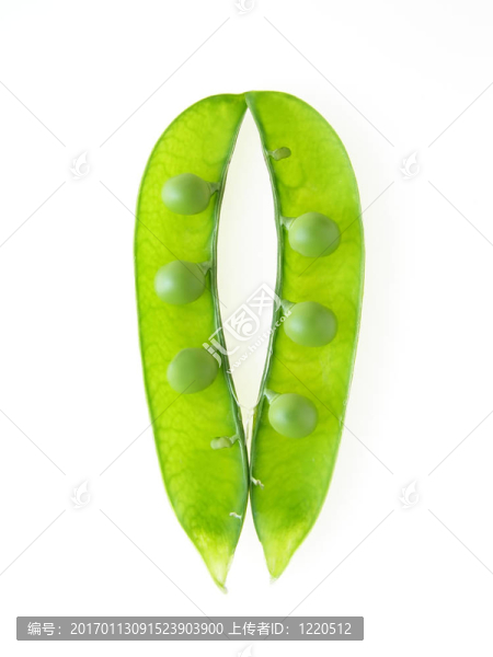 透明的豌豆莢