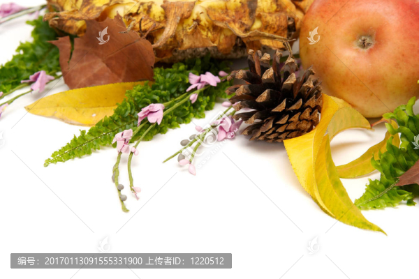 紅葉的安排