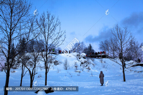 林海雪原,雪鄉(xiāng),樹木,白雪,冬