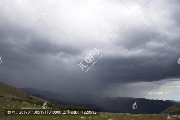 山地雨林