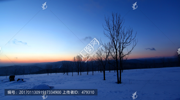 林海雪原,雪鄉(xiāng),日出,白雪,冬